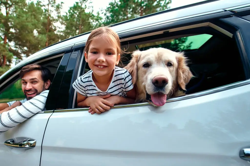 family in automobile with their dog